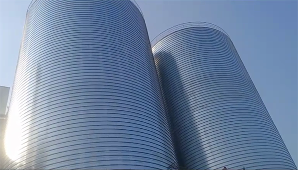 辰溪2座混凝土高架卷板仓